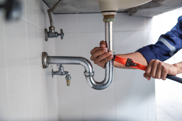 Best Plumbing Repair Near Me  in Loves Park, IL