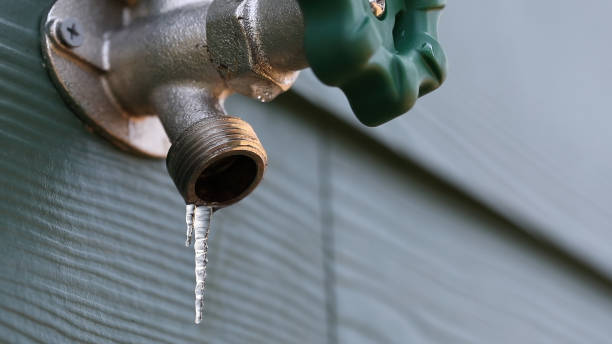 Best Leak Detection Services  in Loves Park, IL