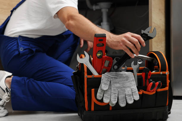 Best Plumbing Services Near Me  in Loves Park, IL