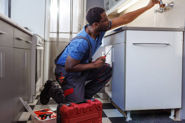 Best Affordable Plumbing Services  in Loves Park, IL