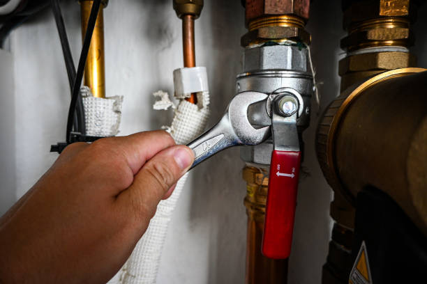  Loves Park, IL Plumbing Pros